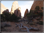 foto Arches Park